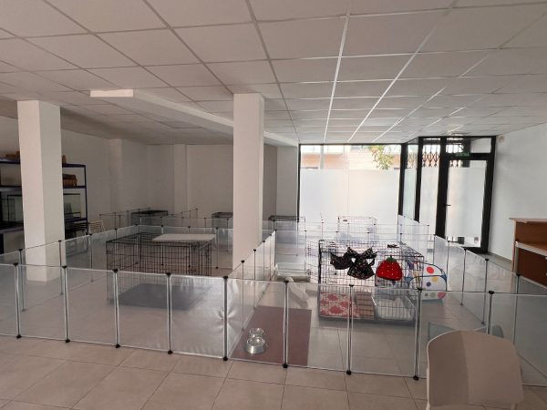 residencia 1
