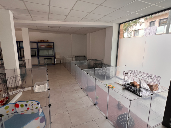 residencia 5
